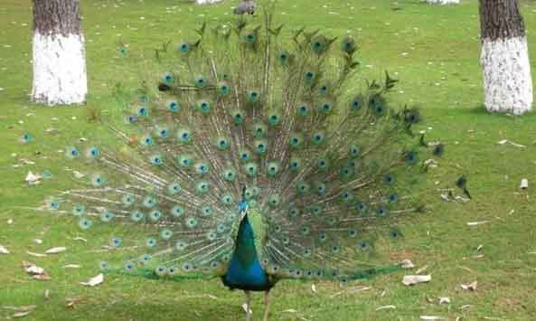 昆明搬家.jpg 昆明搬家.jpg