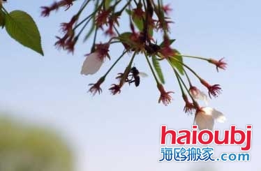 2019年春節(jié)冷不冷-2019年春節(jié)天氣預(yù)測.jpg 2019年春節(jié)冷不冷-2019年春節(jié)天氣預(yù)測.jpg